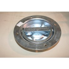 Swivel D-Ring