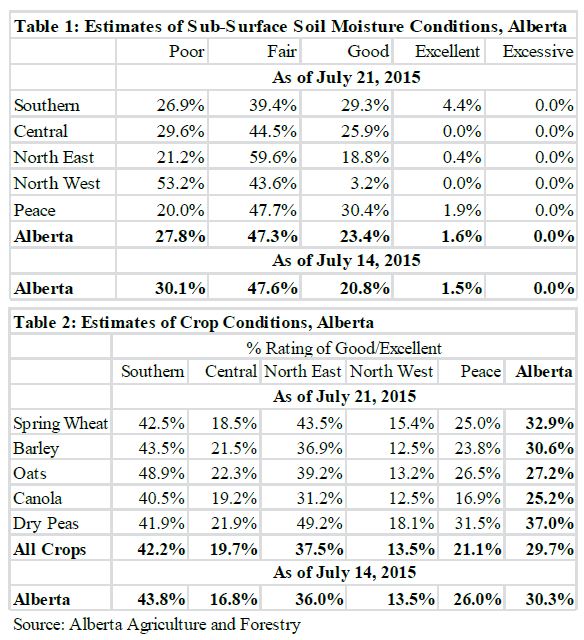Alberta crop report - surface moisture up 10% | Blog | Flaman Agriculture
