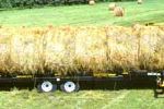 14 Bale Transport